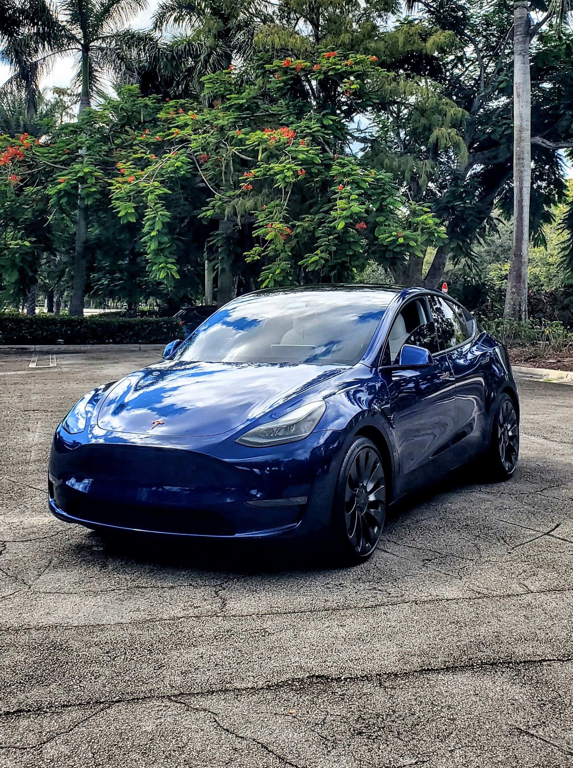 Car Image 4
